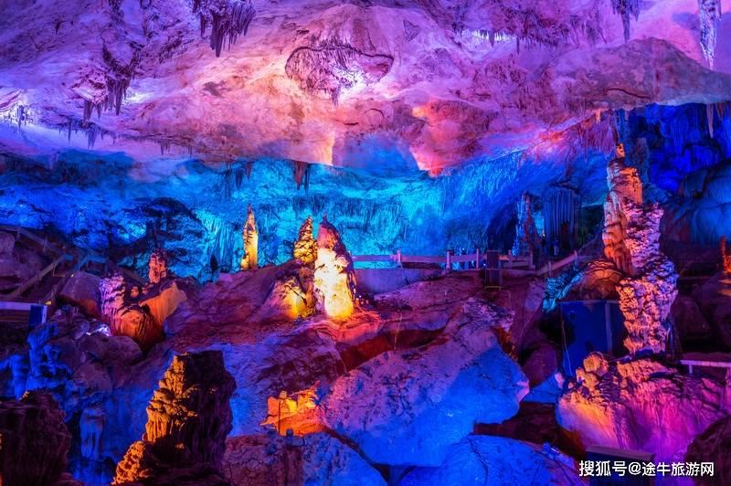 有趣的动物拼图