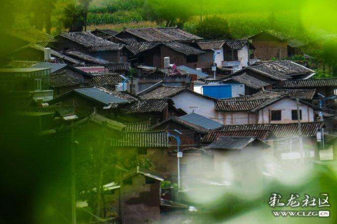 彼得比尔特379拼图