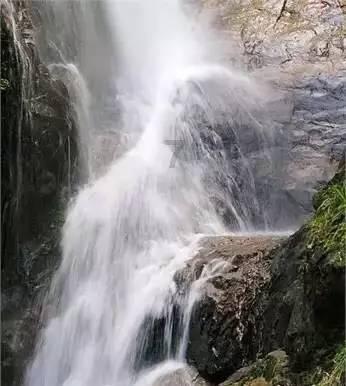 蜂王救援