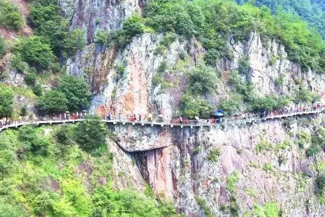 时尚小鸡救援